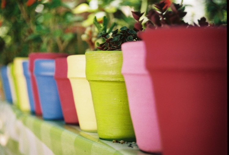 Jardin d'essai Parcs naturels