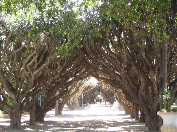 Jardin d'essai Parcs naturels