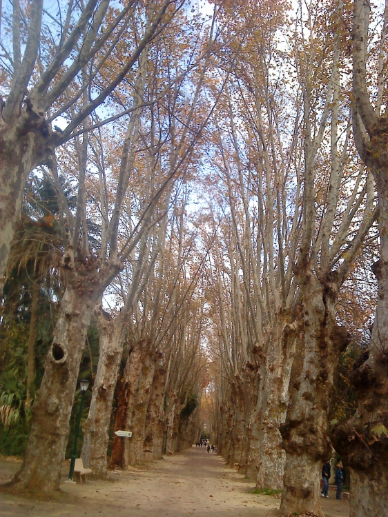 Jardin d'Essai Parcs