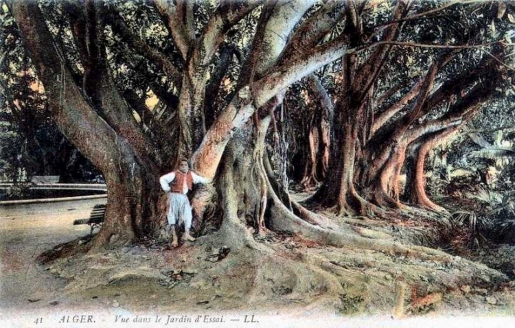 Jardin d'essai Panoramique