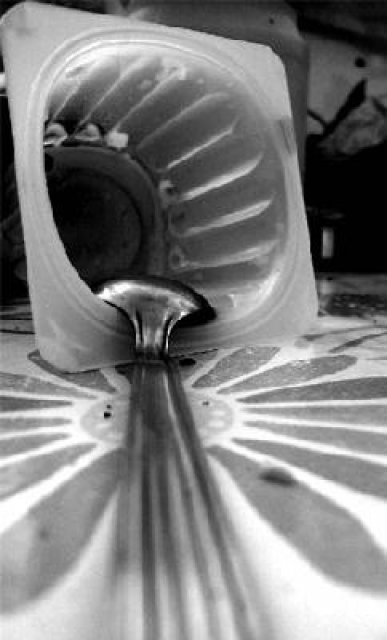 Pot deYaourth Vide Insolite