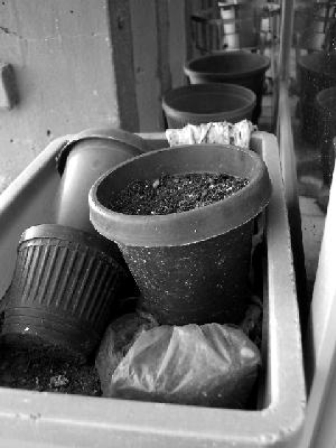 Lydia Teffah Vie quotidienne