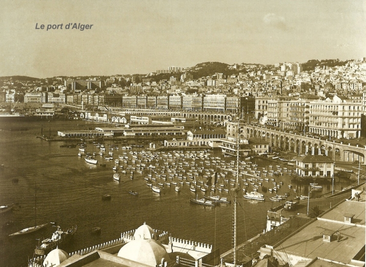 PORT D'ALGER Cartes postales