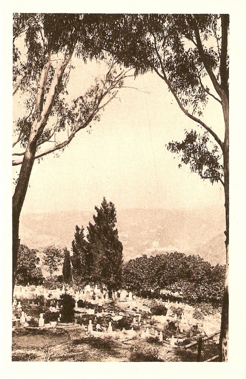Cimetière Cartes postales