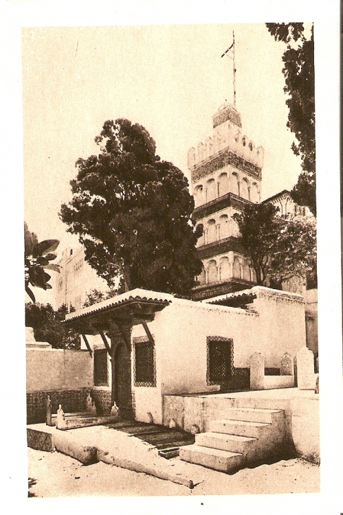Mosquée Cartes postales