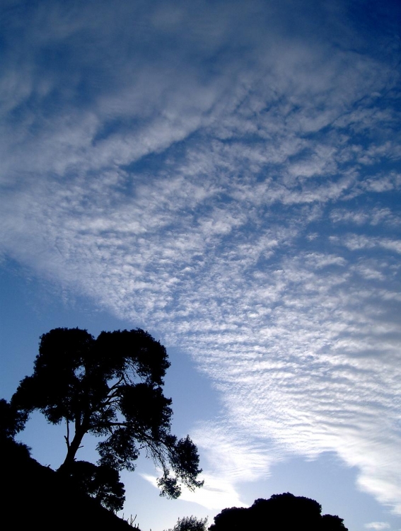 Ombre et lumière Couchers de soleil