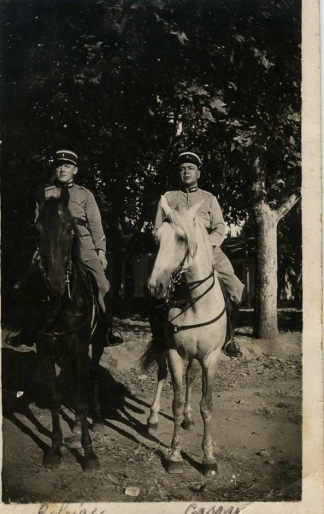Gendarmes à cheval Animaux