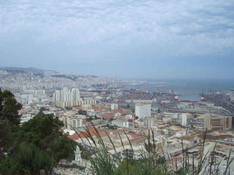 Port d'Alger Panorama