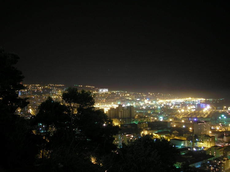 Alger by night Panorama