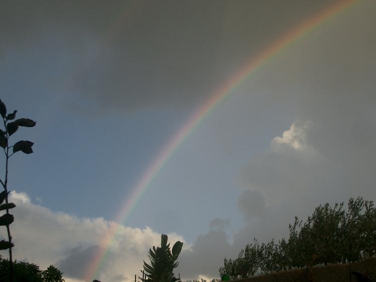 Arc en ciel à  boumerdes Arcs-en-ciel