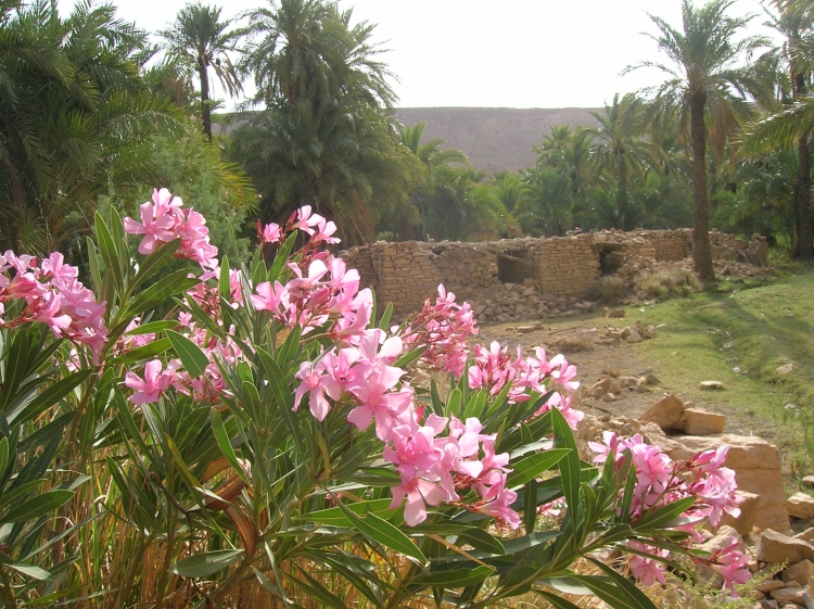El-Oualja Villages