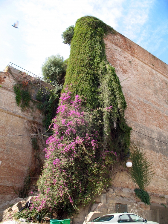Mur de la casbah Villes