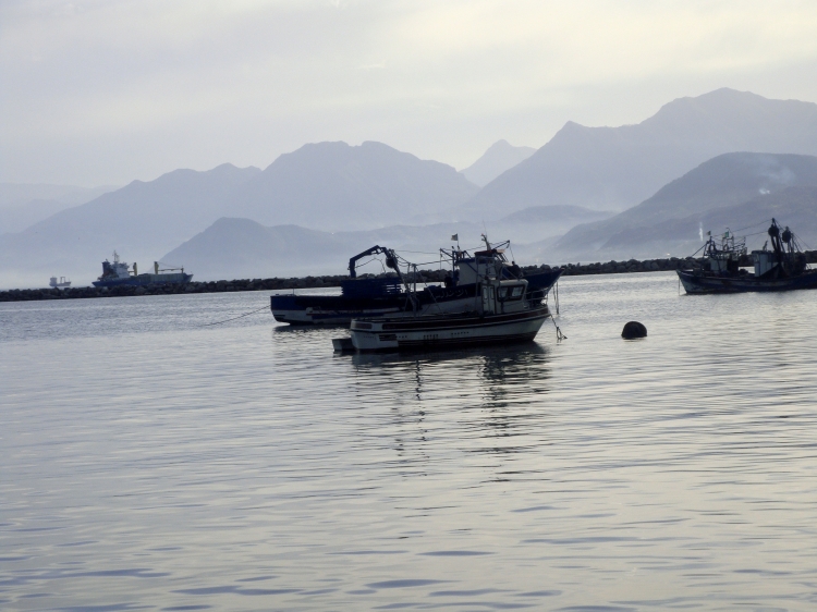 Port de Béjaia Panorama