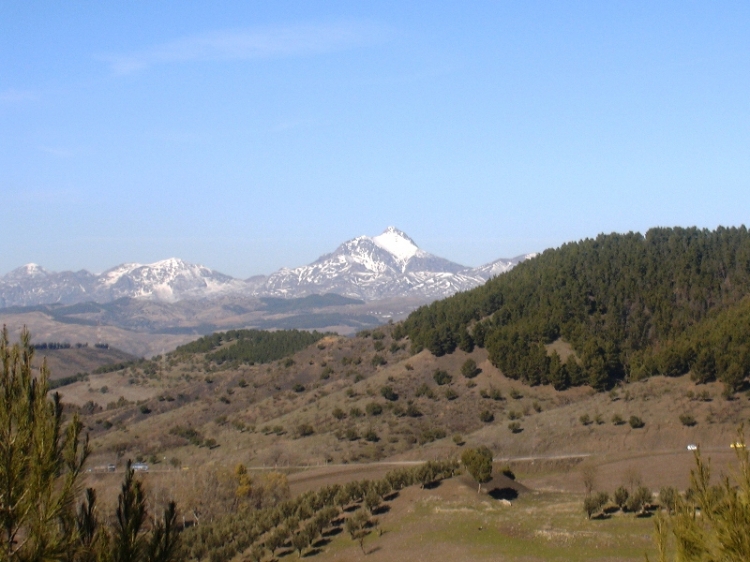 Neige et verdure Paysages
