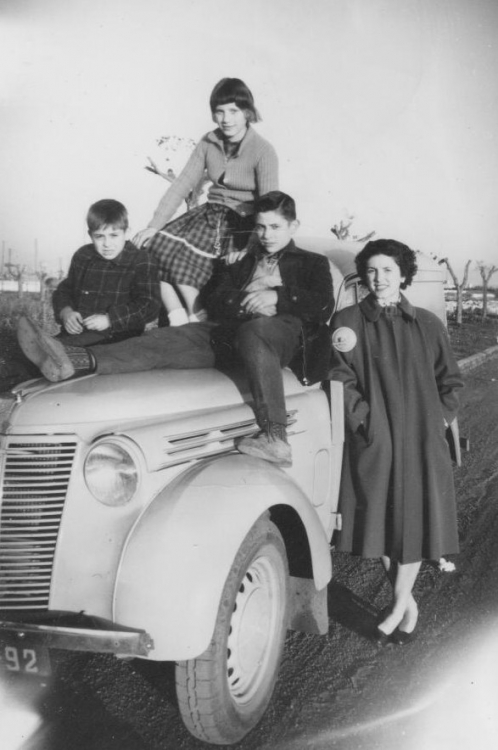 Un dimanche à oran Vie quotidienne