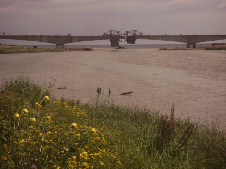 Nature Maisons & jardins