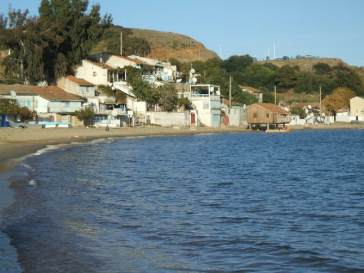 Plage La Caroube Plages