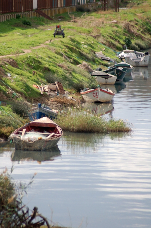Pas de poissons Barques