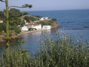 Annaba plage bel védèr 3 Paysages
