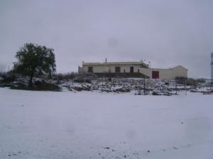 Zaouia cheikh Bouabidi Neiges