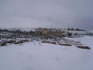 Zaouia cheikh Bouabidi Neiges