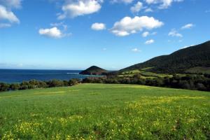 Doumia  le printemps Paysages