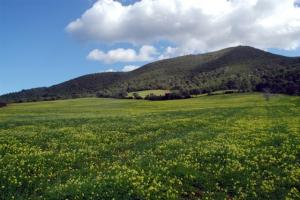 Doumia  le printemps Paysages