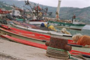 Abri de pêche Pêche