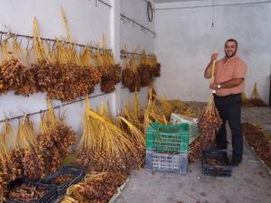 Admirez le résultat Dattes