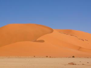 La Tadrart, la dune et les dromadaires Paysages