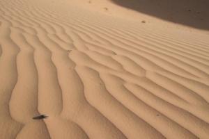 Ondulations Paysages