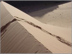 Solitude et dune Paysages