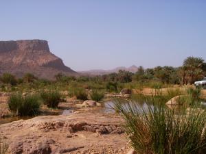 Tassili des ajjers Oasis