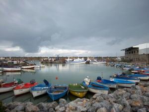 Port de pêche Barques