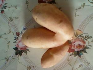 La nature de dieu Pommes de terre