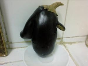 AUBERGINE Aubergines