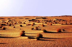 Benikhaled Front de mer