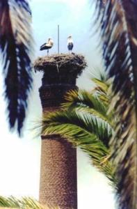 Le nid à cigognes Vestiges / Ruines