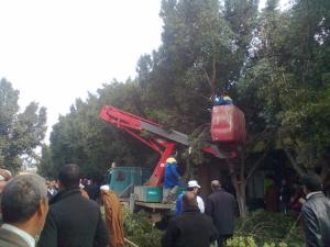 ÉLAGAGE D'ARBRES Météo