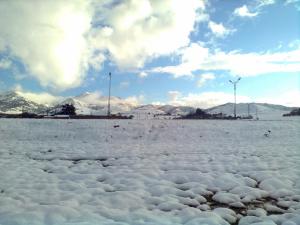 Bourached grelotte Saisons