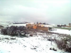 Zaouia cheikh Bouabidi Neiges
