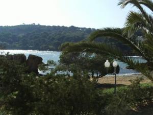 Rêve éveillé Paysages