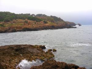 La cote à Tipaza Côtes