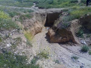 C'est Tebessa Paysages