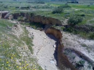 C'est Tebessa Paysages