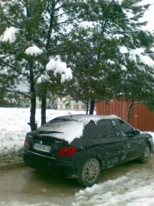 Neiges & printemps Neiges