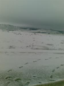 Neiges & printemps Neiges