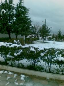 Neiges & printemps Neiges