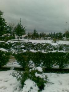 Neige & printemps Neiges