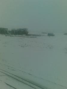 Neige sur les arbres au printemps Neiges